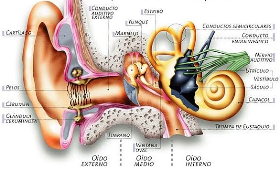 Técnicas para destapar los oídos