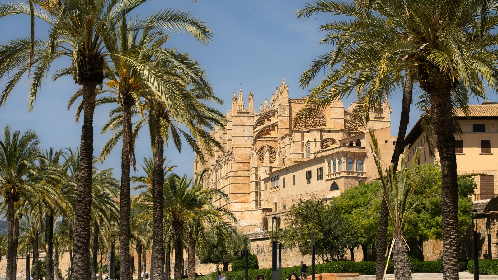 Mejores Centros Auditivos en Palma de Mallorca
