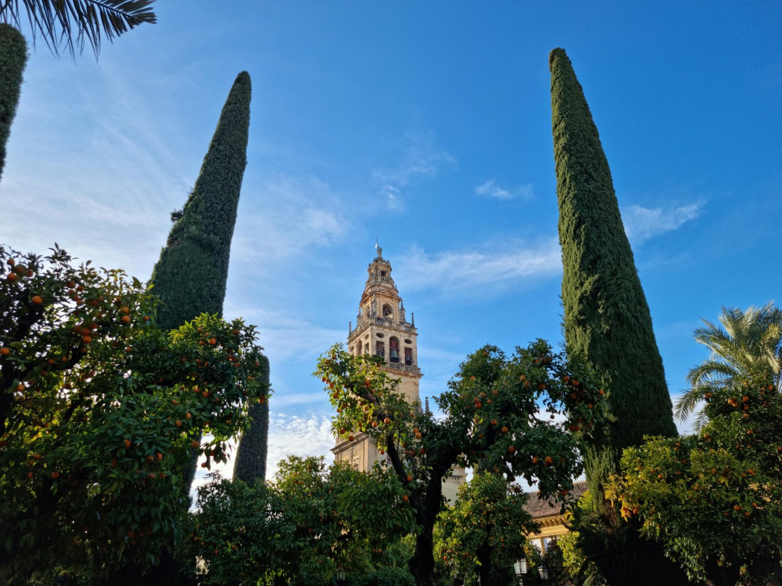 Mejores centros auditivos en Córdoba