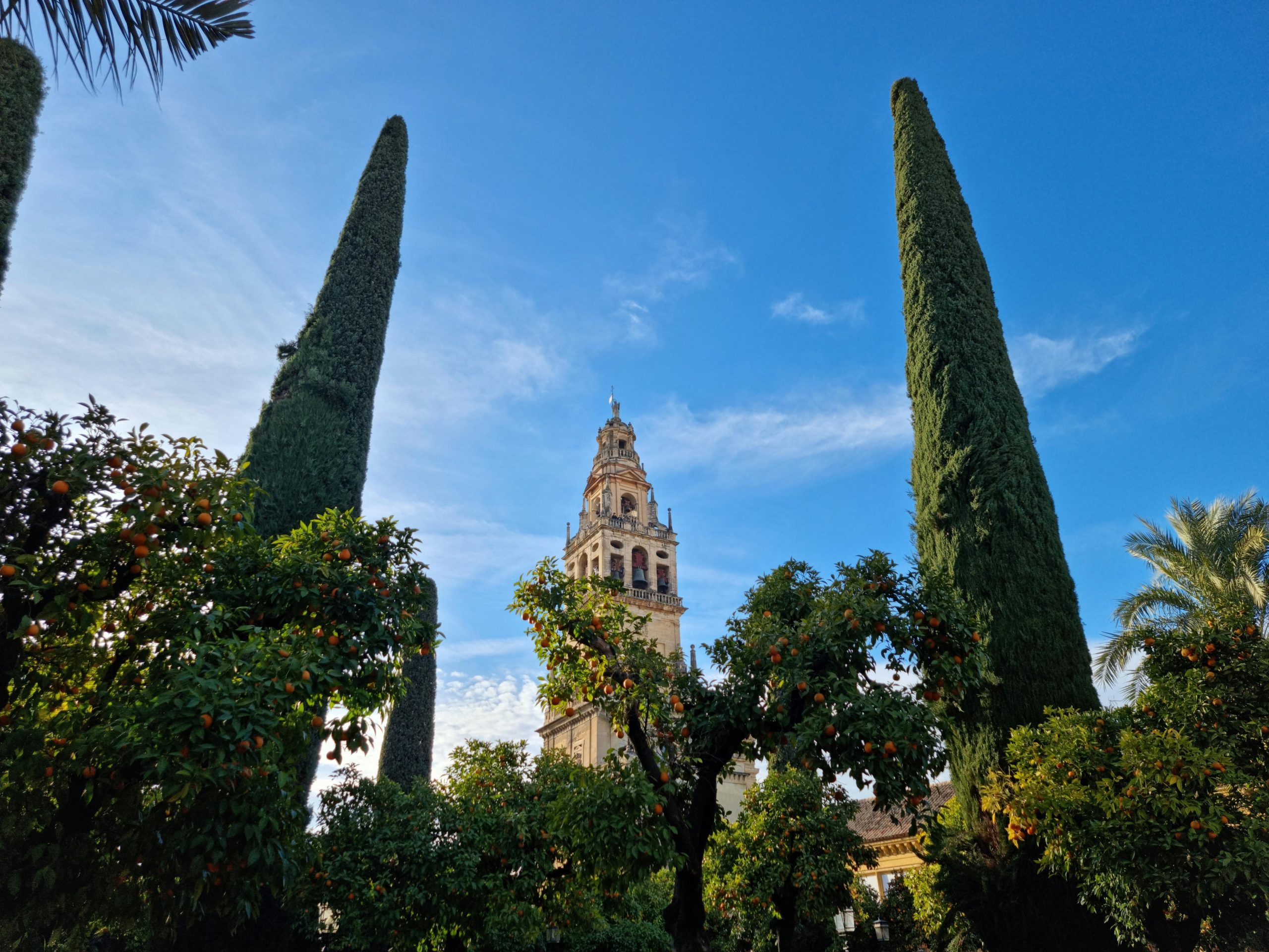 Mejores centros auditivos en Córdoba